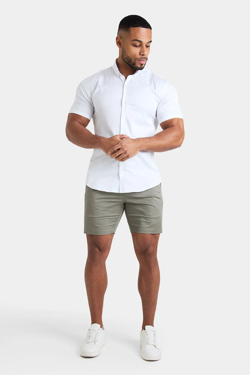 Athletic Fit Chino Shorts 7''  in Sage