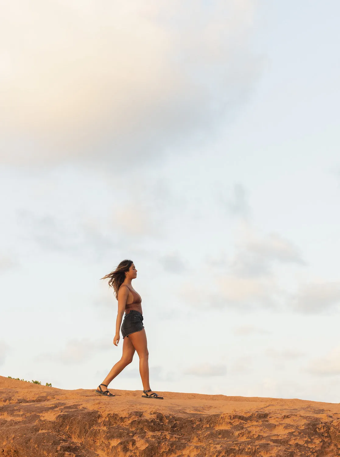 New Swell Denim Shorts - Anthracite